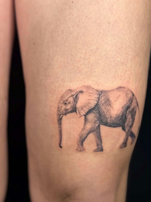 Portfolio Bricetattooer — tatoueur à Paris